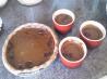 Pumpkin Pie (No Sugar). Recipe by Aimee88