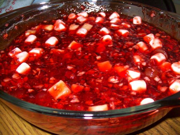 Holiday Cranberry Fruit Salad. Photo by AZPARZYCH