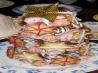 Frosted Sugar Cookie Cutouts. Recipe by Cupcake-Princess