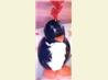 Perky Olive Penguins