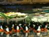 Perky Olive Penguins