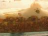 Scrumptious Shepherd's Pie