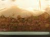 Scrumptious Shepherd's Pie
