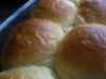 Easy Dinner Rolls