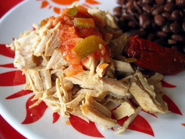 Low-Fat Carnitas. Photo by carolinajewel