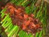 Pan Roasted Asparagus With Red Onion and Bacon. Recipe by swissms