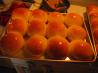 Buttery Yeast Rolls