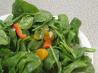 Spinach Mandarin Salad