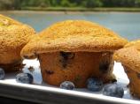 Fresh Blueberry Sour Cream Muffins