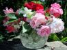 Exotic Orange Blossom Water and Rose Water - Make Your Own!