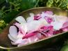 Exotic Orange Blossom Water and Rose Water - Make Your Own!