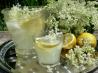 Prelude to Summer - Old Fashioned English Elderflower Cordial