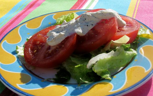 Easy and Light Horseradish Sauce. Photo by lazyme