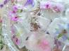 Fresh Flower/Herb Blossom Ice Cubes for Summertime Entertaining. Recipe by BecR