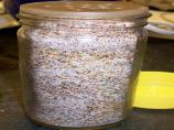 French Fry Seasoning. Photo by mightyro_cooking4u