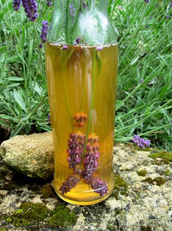 Easy Homemade Lavender Scented and Infused Vinegar. Photo by French Tart
