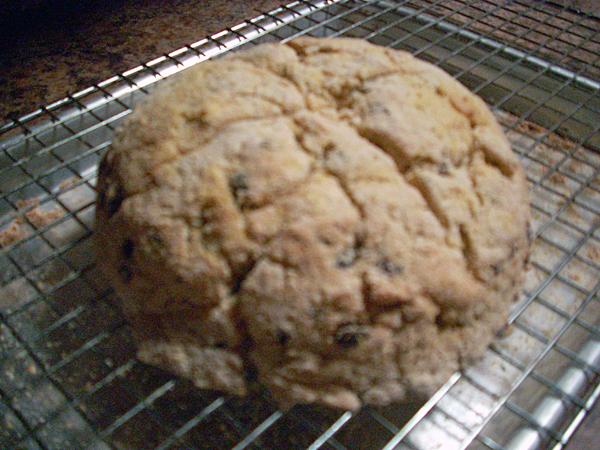 Gluten-Free, Dairy Free Irish Soda Bread. Photo by Chef Joey Z.