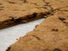 Spiced Chocolate Chip Scones