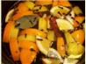 Holiday Potpourri