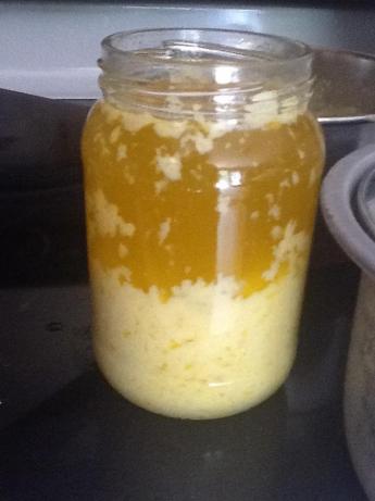 Homemade Miracle Whip. Photo by Vthomp18