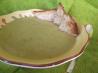 Creamy  Asparagus,  Leek  and  Potato  Soup. Recipe by pinky kookie
