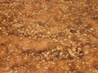 Cinnamon Coffee Cake