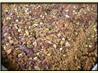 Cinnamon Coffee Cake