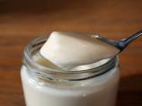 Making a Bulgarian/ Greek Style Yogurt