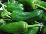 Noelia’s Original Spanish Recipe for Padron Peppers. Photo by kiwidutch