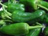 Noelia’s Original Spanish Recipe for Padron Peppers