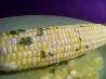 Steamed Corn With Basil Butter