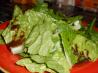 Green Cafe Salad