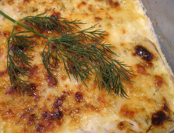 Orange Roughy with Dill Sauce. Photo by Sandi (From CA)
