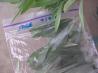 Freezing Herbs--Basil, Rosemary, Thyme, Oregano, Cilantro, Parsl
