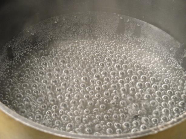 Boiled Water. Photo by Debbwl