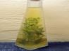 Olive Oil With Herbs