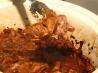 German Crock Pot Pork With Cabbage. Recipe by Tea Jenny