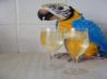 Beijing Bellini. Recipe by Darkhunter