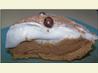 Cafe au lait Pie. Recipe by Young Structural