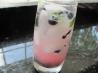 Wild Blueberry Beginner