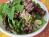 Lemon Balm Vinaigrette. Recipe by Cookgirl