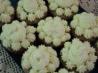Banana Cupcakes With Vanilla Pastry Cream. Recipe by Brookelynne26