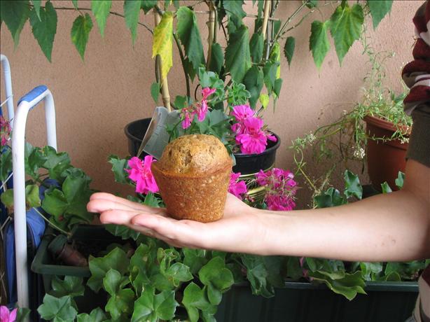 Zucchini Cupcakes. Photo by Tante B