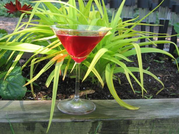 Pomegranate Martini. Photo by K9 Owned