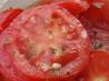 Greek Marinated Tomatoes
