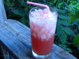 Watermelon Gin Fizz