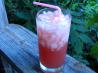 Watermelon Gin Fizz