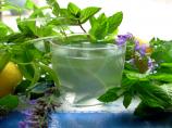 Lemon Verbena and Mint Tea - French Verveine and Mint Tisane