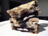 Cookies N Cream Cheesecake Cupcakes. Recipe by c bau
