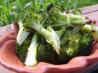 Oven Roasted Broccoli (America's Test Kitchen). Recipe by anovamom